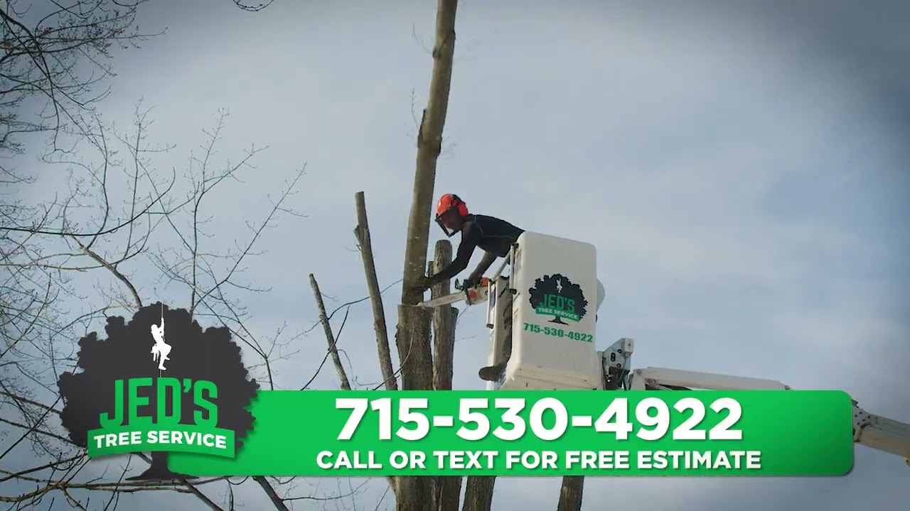 Tree Removal for Winter Storm Safety | Snow, Ice & Freezing Rain