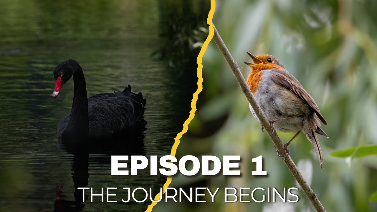Sony A7R V Wildlife/Bird Photography – Episode 1: The Journey Begins - London Bird Photography