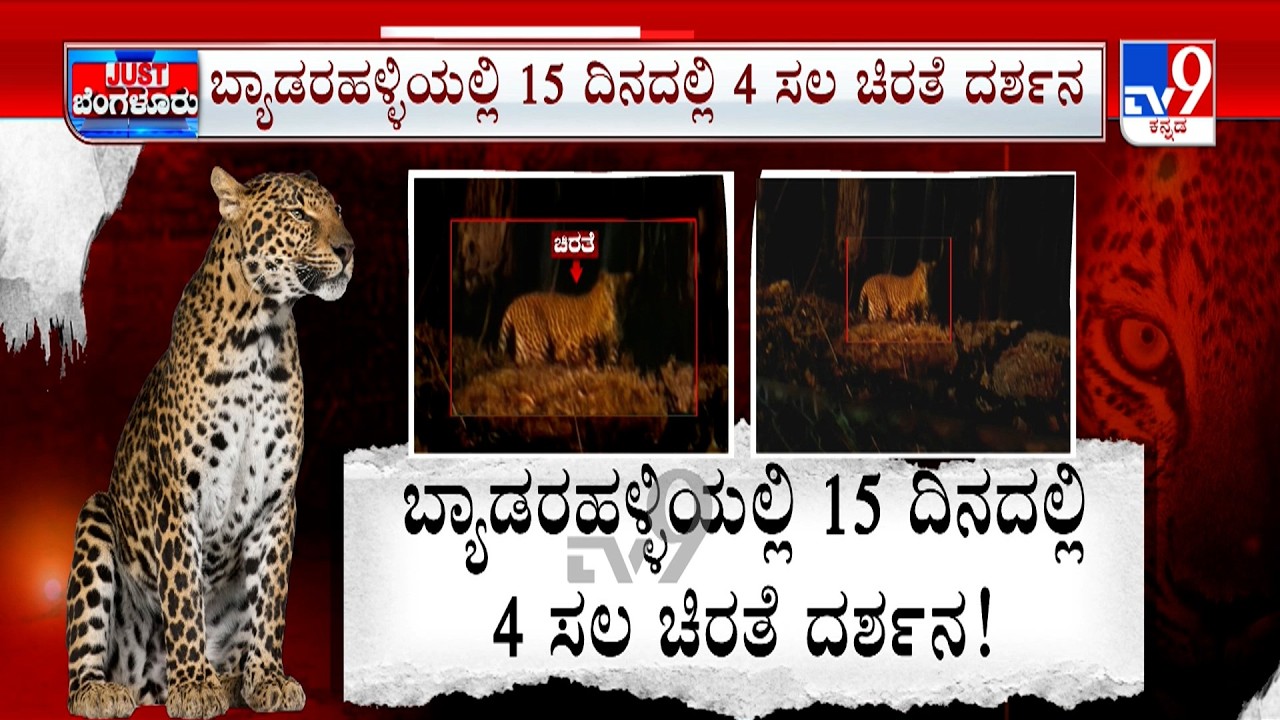 Leopard Spotted In Bengaluru: ಬ್ಯಾಡರಹಳ್ಳಿಯಲ್ಲಿ ನಾಲ್ಕು ಬಾರಿ ಚಿರತೆ ದರ್ಶನ ಬನಶಂಕರಿಗೂ ಬಂದು ಹೋದ ಕಾಡುಮೃಗ