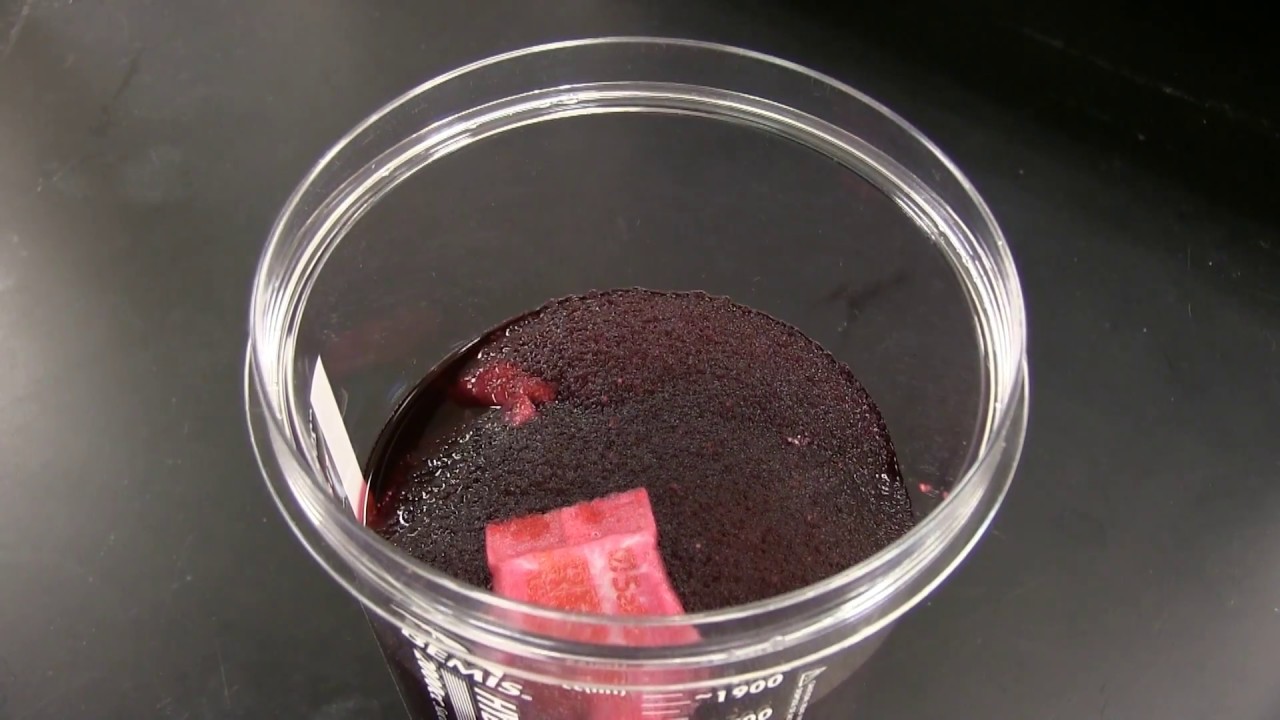 Red Z Medical Liquid Solidifier 1500cc Drop-In Pacs | Safetec of America