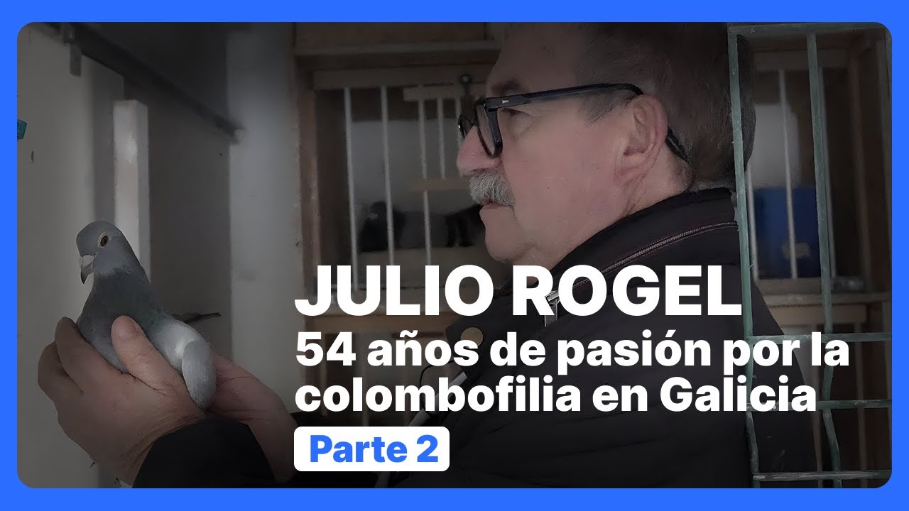 [Parte 2]  Entrevista Julio Rogel Daparte  - Un GRAN colombófilo en Galicia