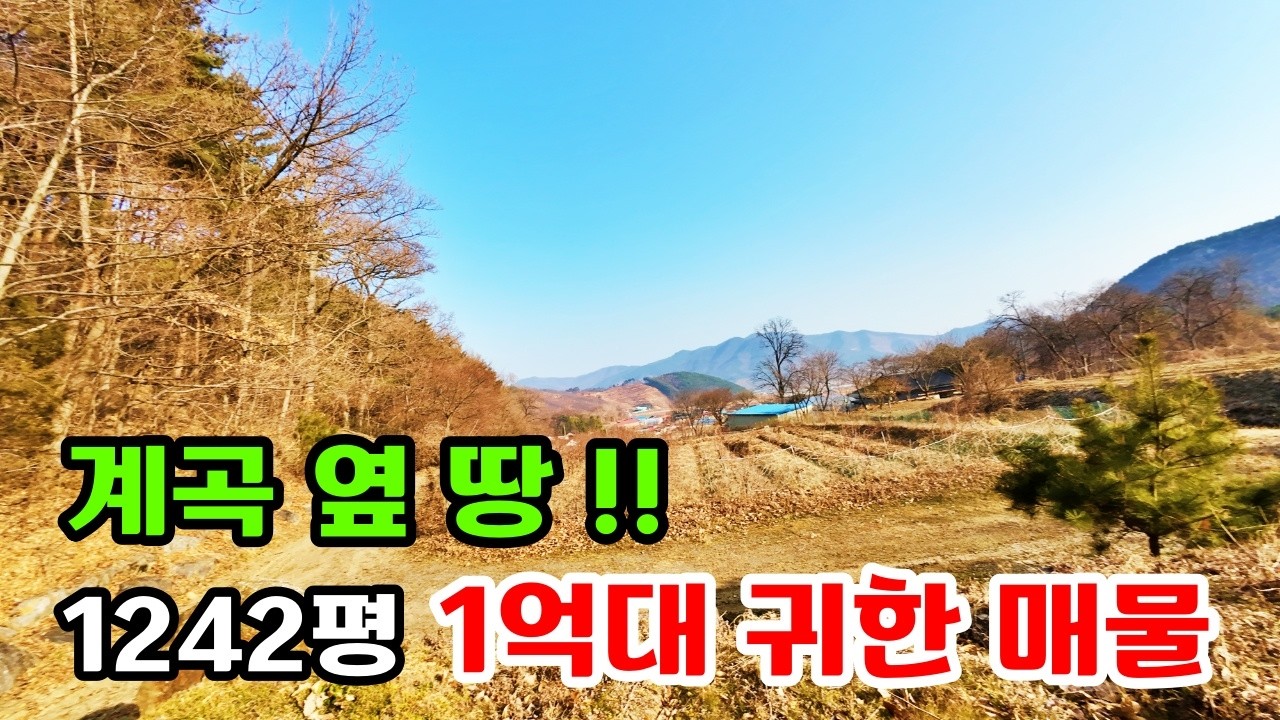싼땅 급매 1242평  계곡 옆 땅! 1억대 귀한 매물  풍경화가 따로 없네!! 여기서 시작~전망 좋은 주말농장 체류형쉼터 전원주택지 충남 부여 (행운집땅부동산 NO.5238)