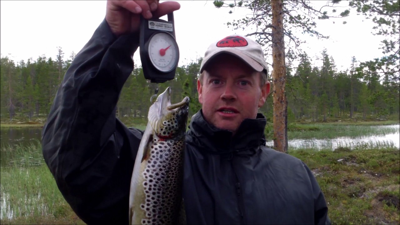 Ørretfiske i Femundsmarka. 2påtur ved Sittjønn 18-26 juni.