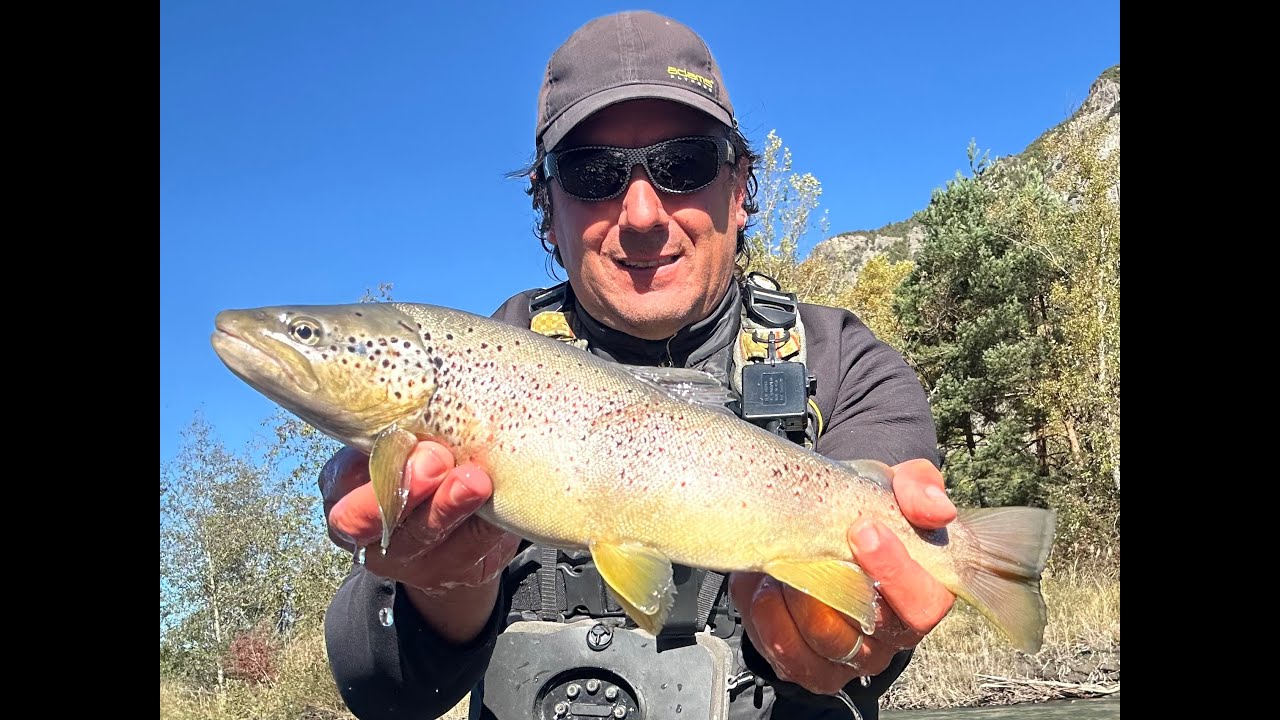 fin de saison à la mouche en NAF et elle finit comme elle a commencé, en beauté :-)