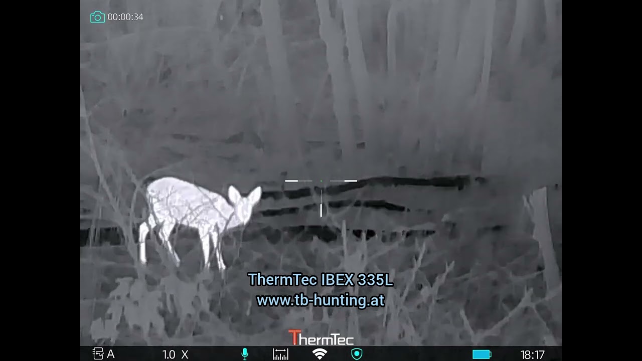 Thermtec IBEX 335L 