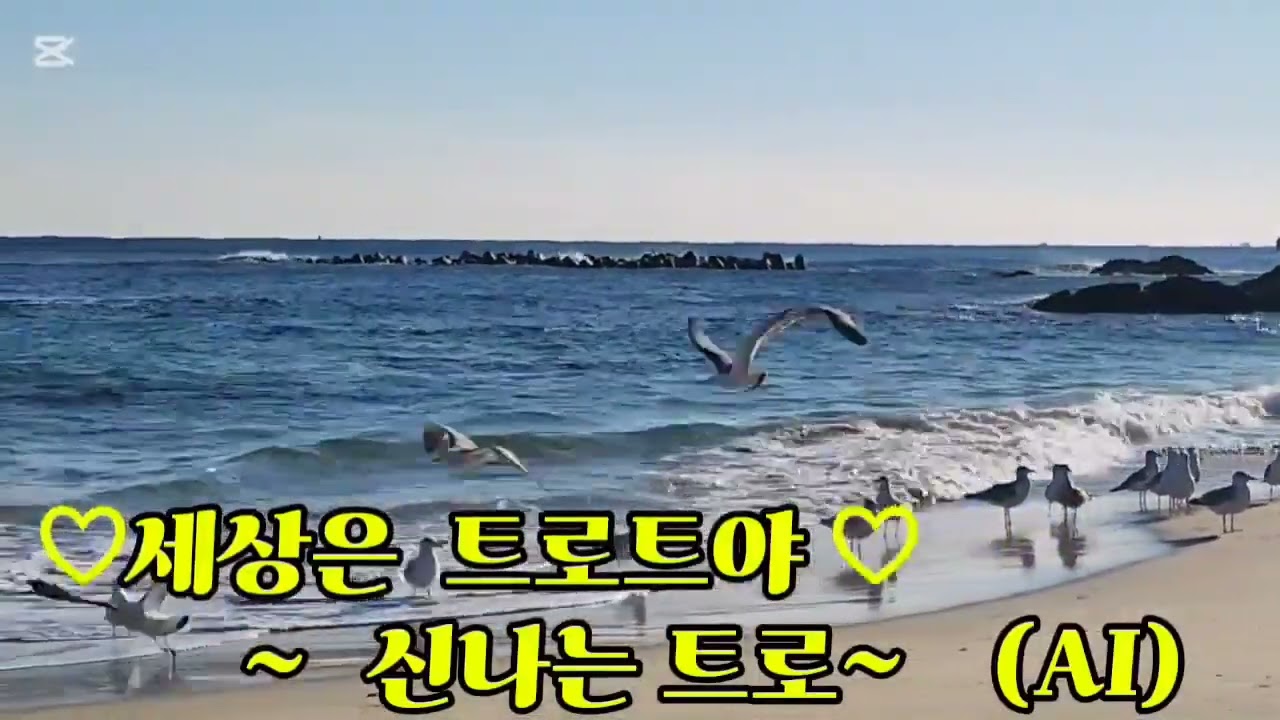 세상은 트로트야