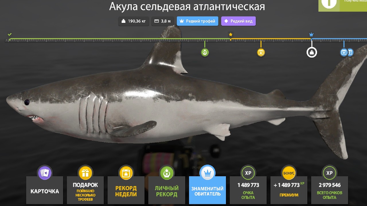 НОВЫЕ ФАРМЫ СЕРЕБРА и РАЗДАЧИ ТРОФЕЕВ! СВОДКА по ВОДОЁМАМ на 05.02 в Русской Рыбалке 4! РР4