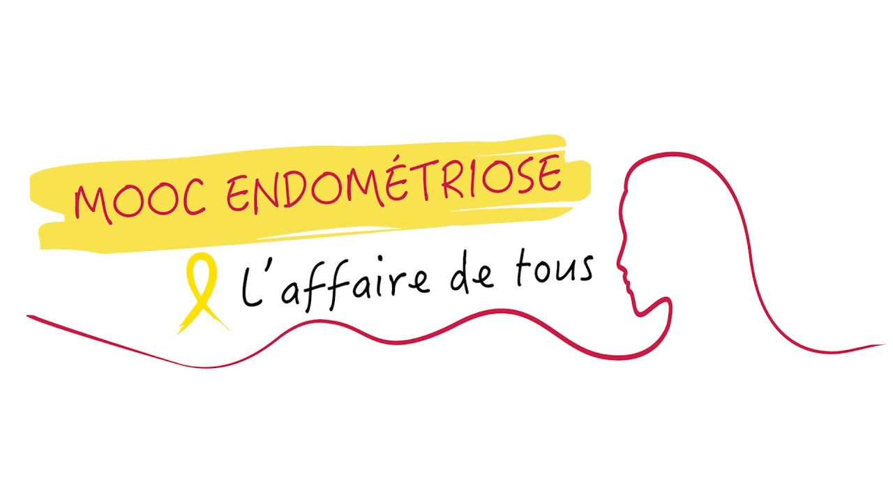 Endométriose : EndoFrance : Soutenir : Stéphanie CHEZEAUX/ Sophie COSATTI / Josepha GOETZ-COLLINET