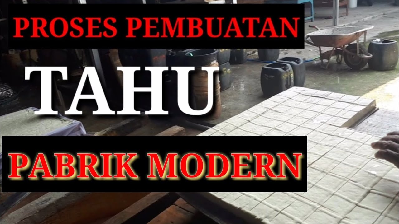 pabrik tahu modern