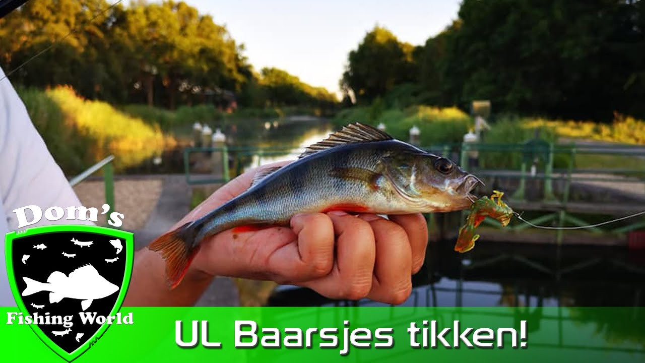 ULTRALIGHT BAARS Vissen#7 UL Baars vissen