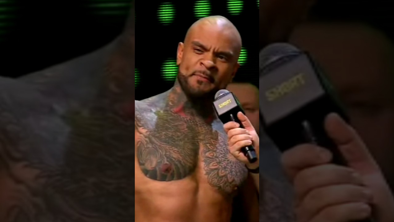 PANTERA CHCE WALKI Z KRUSZYNKĄ #szorty