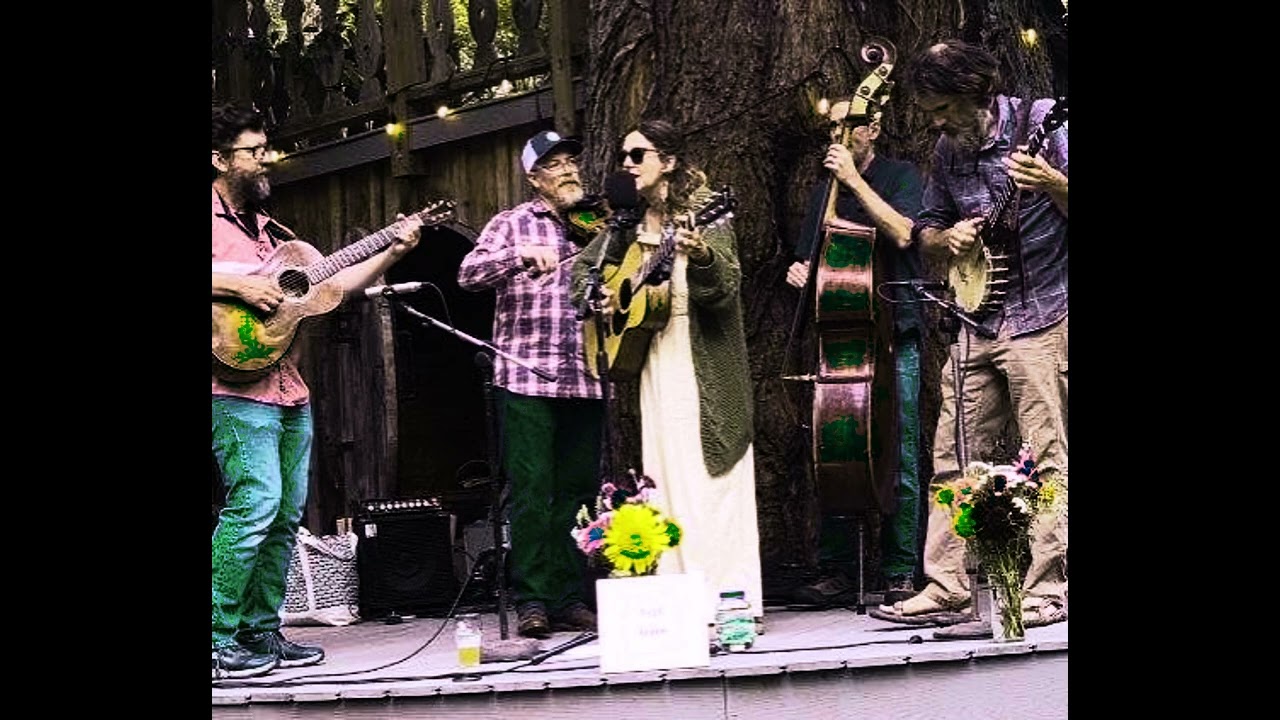 Rise & Bloom   Across The Sea   Live From The Hilltop