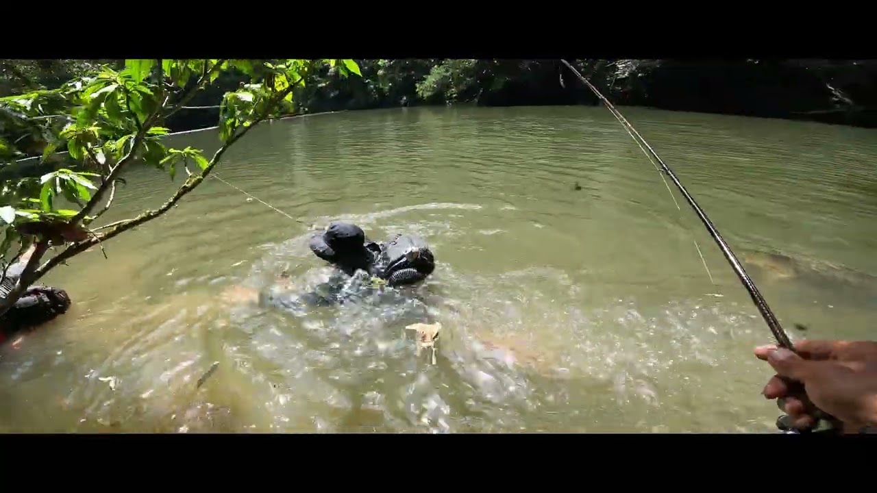 Ulu Temburong Barap and Semah