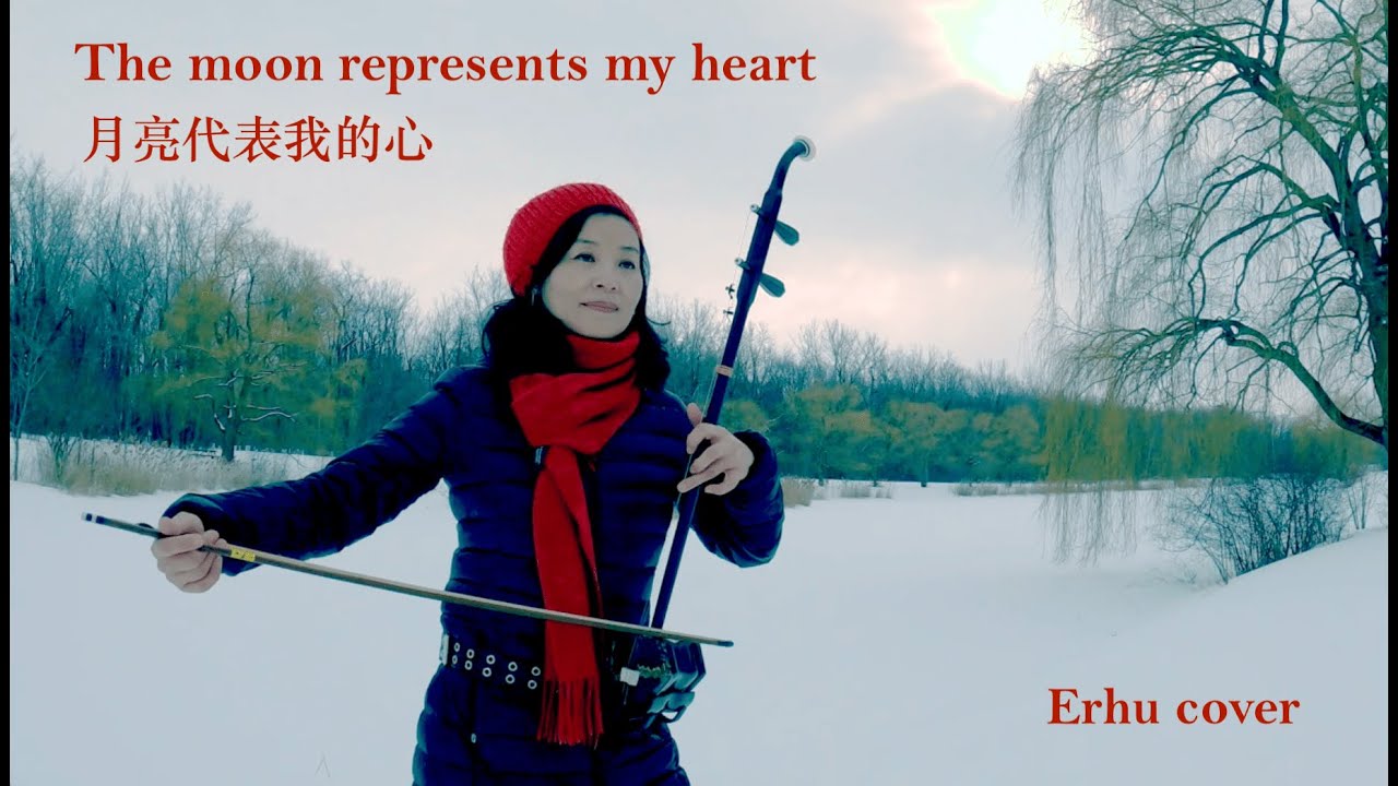 月亮代表我的心 The Moon Represents My Heart Erhu cover by Qi Shen