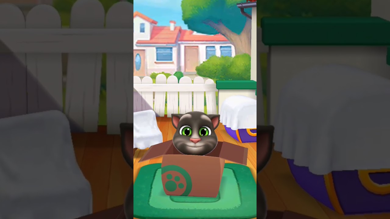 tom cat cute #tomcat2