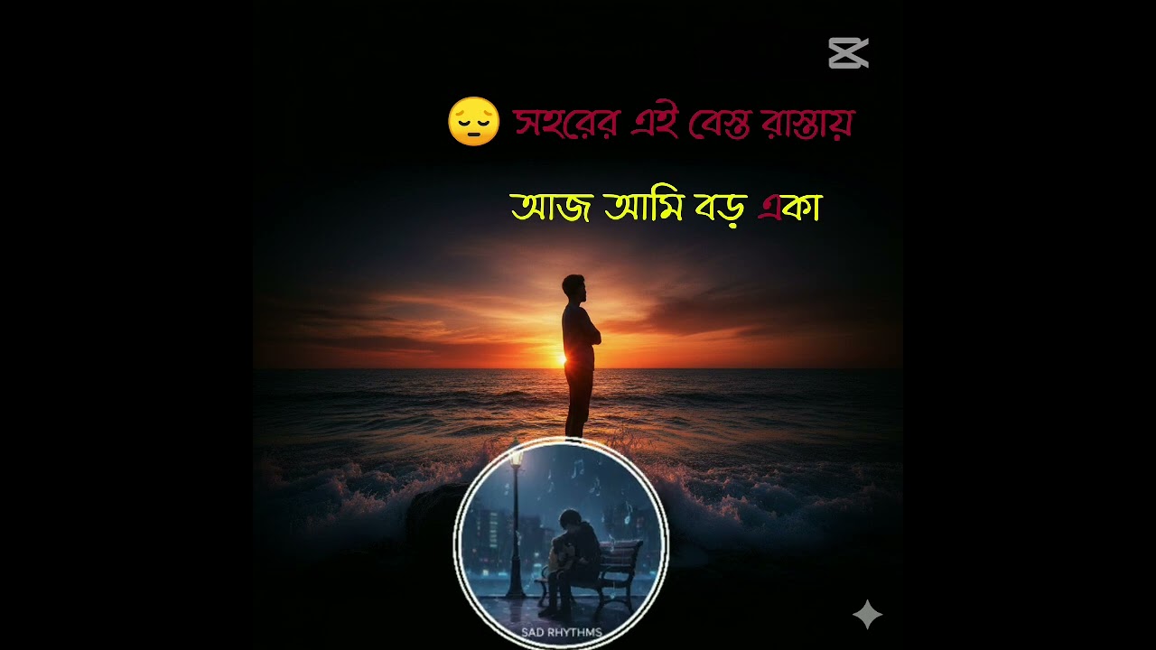 😔সহরের এই ব্যাস্ত রাস্তাই আজ আমি একা💔