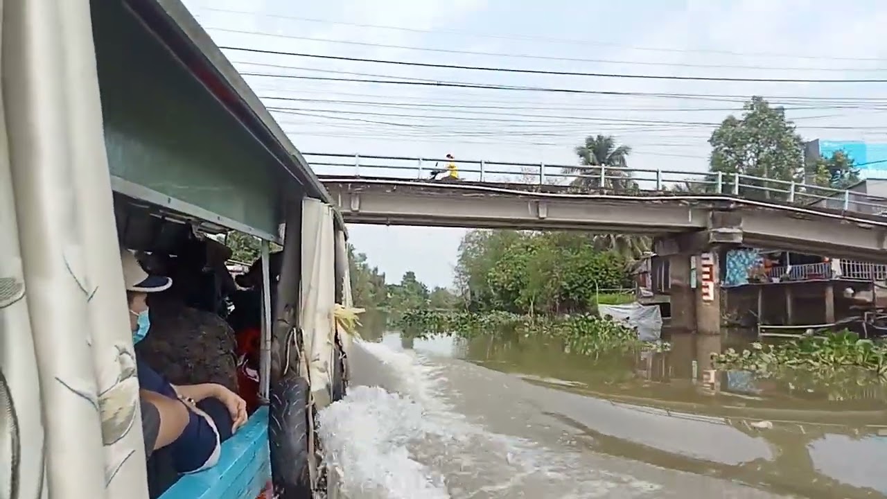 Miền Tây sông nước xuồng máy trên nhánh sông tiền ❤️