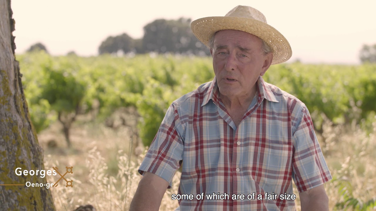 AOC Vacqueyras - The large Terrace of the Garrigues - English subtitles