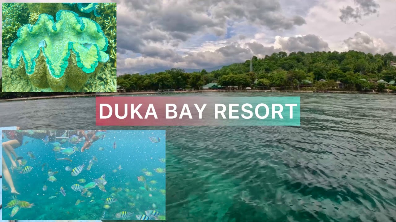 Best Place for Scuba Diving & Snorkeling||DUKA BAY Resort Medina Misamis Oriental