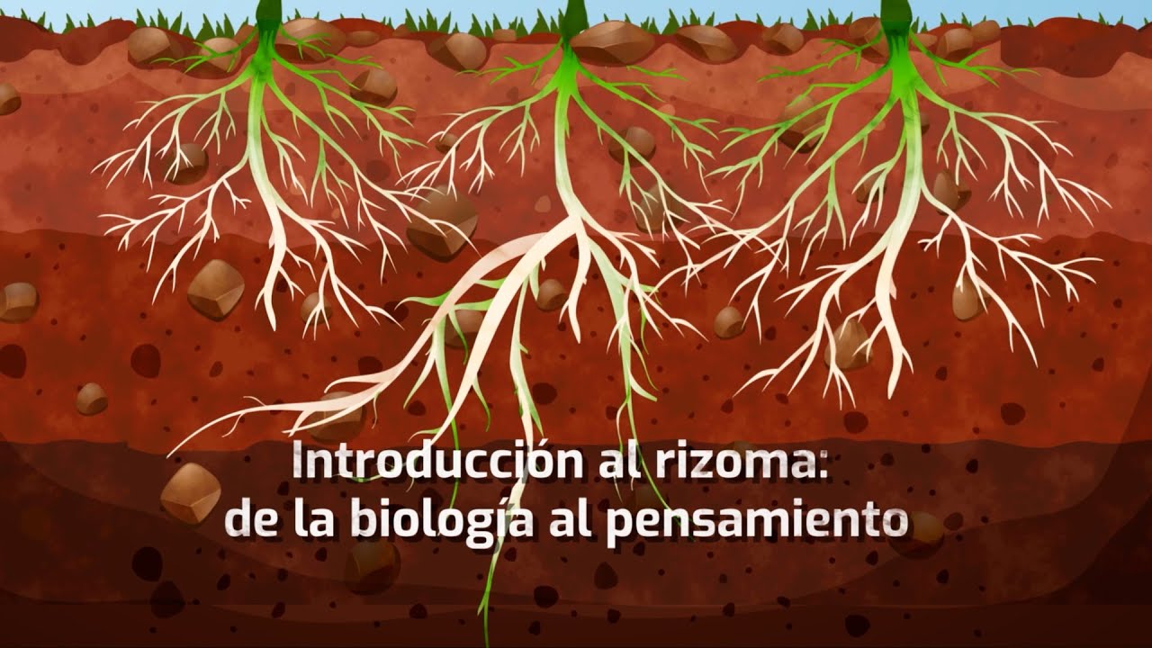 Introducción al rizoma: de la biología al pensamiento