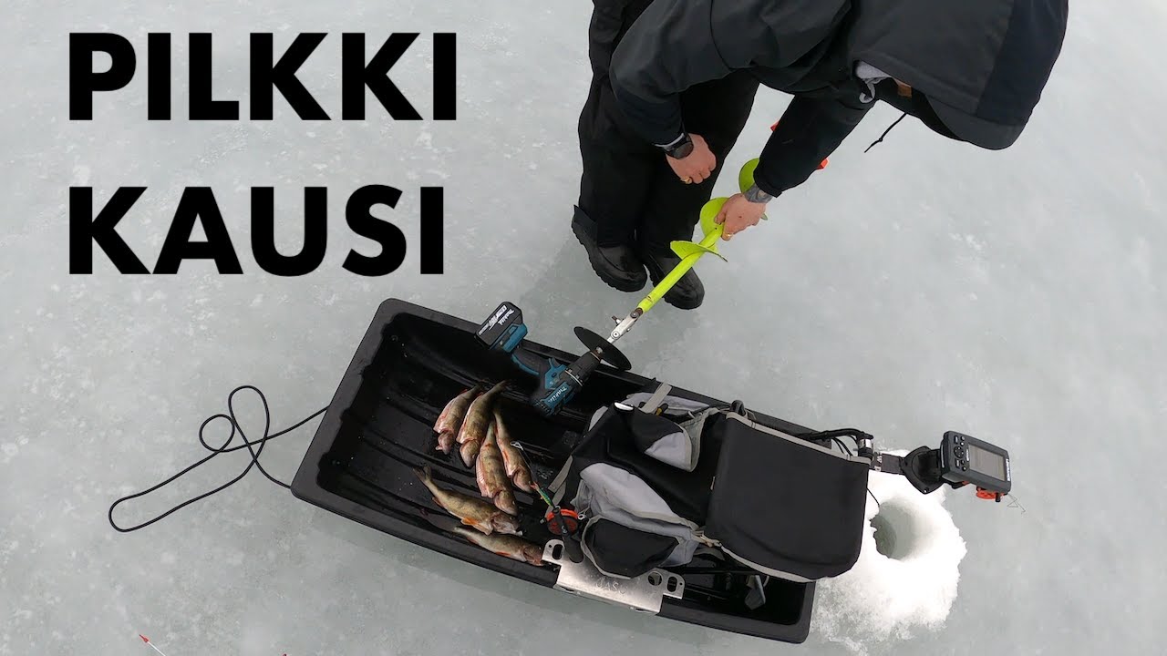 Ahvenen pilkintä