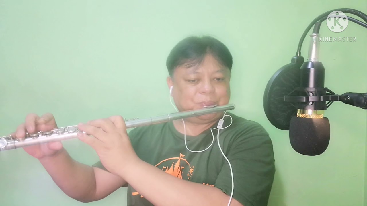 Every Breath You Take by Sting (Flute Cover)
