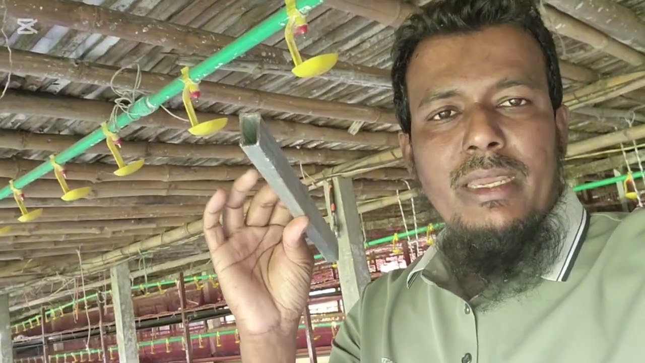 আলহামদুলিল্লাহ নিজের কন্ট্রোল শেডে কাজ চলমান আজকের আলোচনা মাচা তৈরি এবং বোর্ডিং পদ্ধতি নিয়ে আলোচনা।