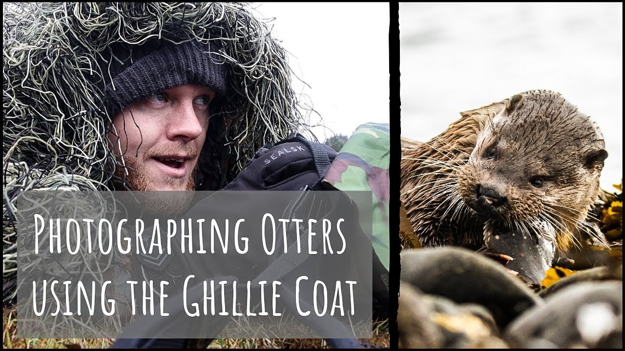 Photographing Otters on the Isle of Mull - using the Tragopan Ghillie Coat