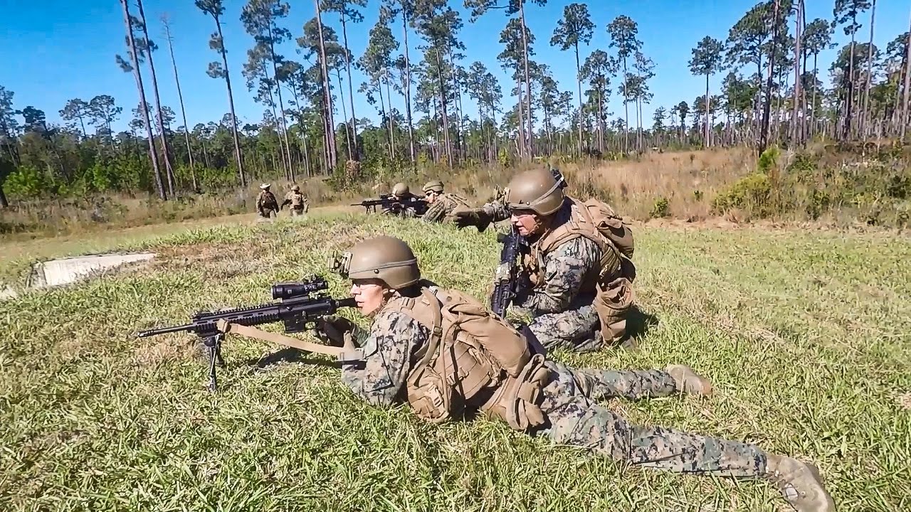 Exercise Dogs of War . Air assault Operation - US Army & US Marines Joint Integration | MFA