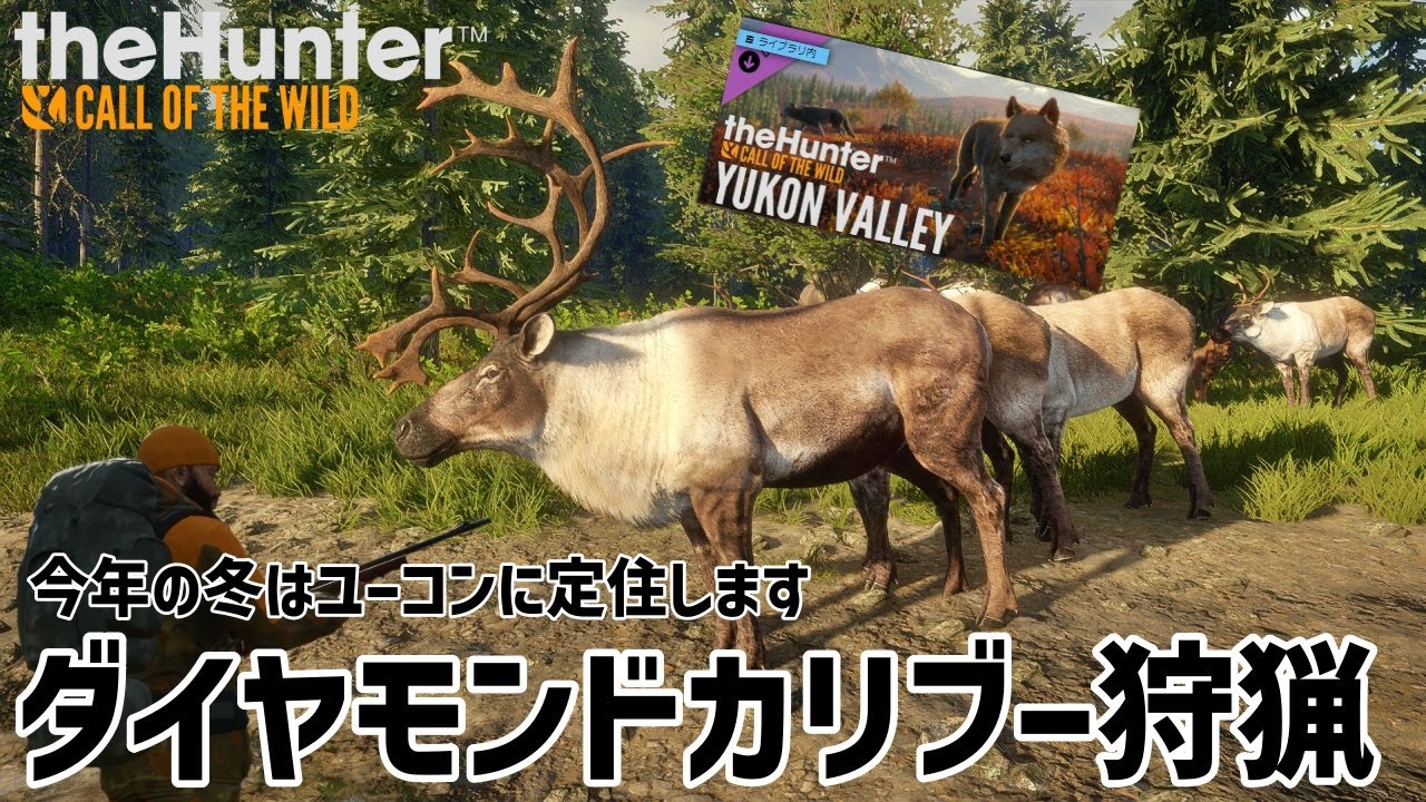 【ザハンターコールオブザワイルド】とことんカリブー狩り！！【theHunter: Call of the Wild 】