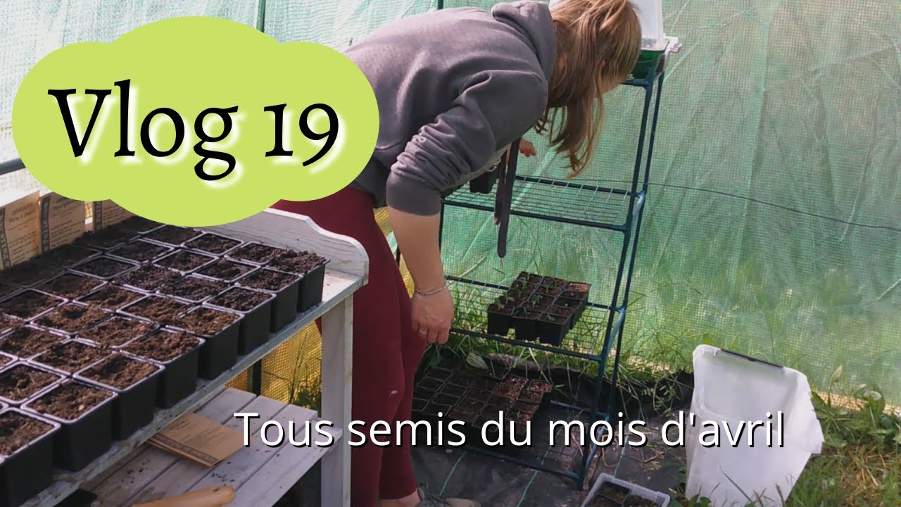 Vlog 19 : Tous les semis d'avril en une seule fois