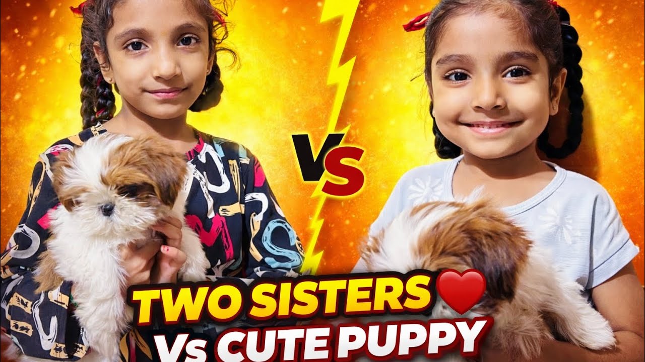 “2 Sisters vs Cute Puppy 🐶❤️ – Shih Tzu Love Test 😍”