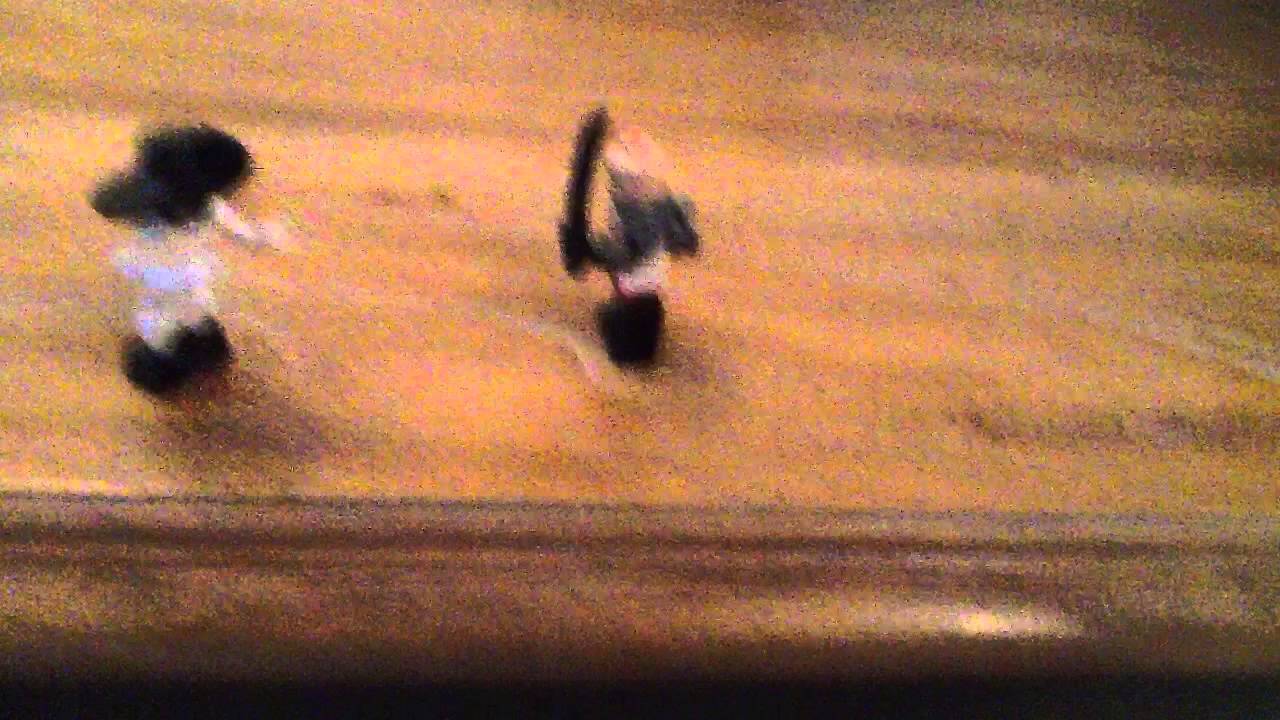 My animation