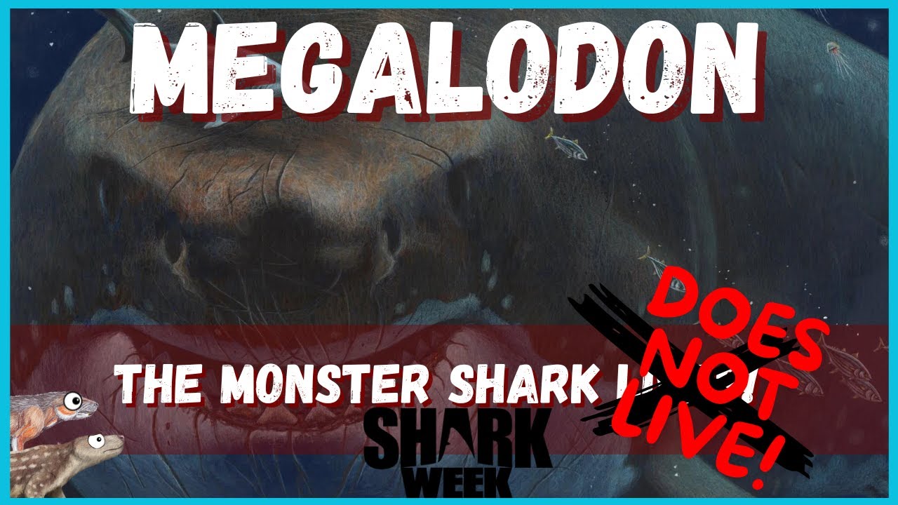 Megalodon: the Monster Shark DOES NOT LIVE! Shark Week Special