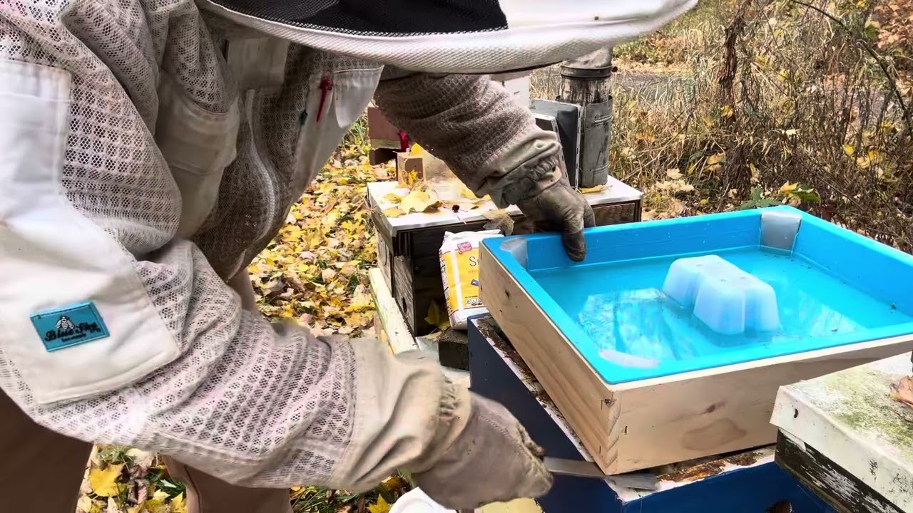 Зима приближается к пчелиному двору