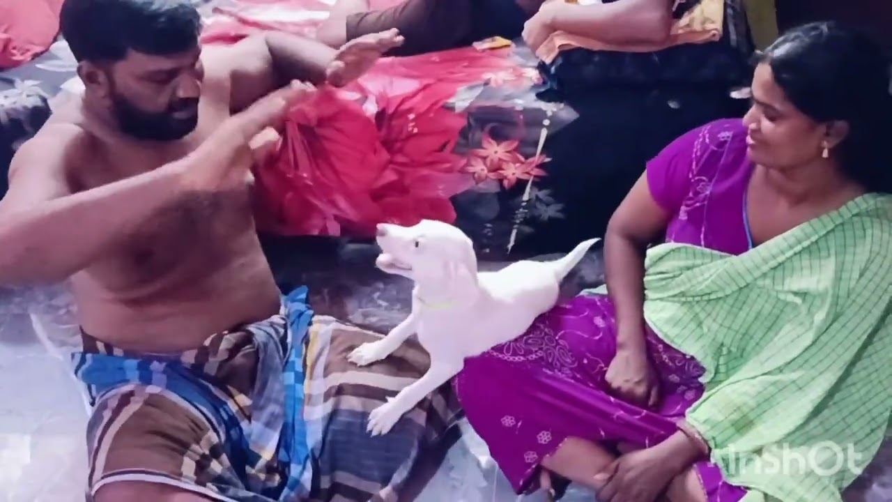 ஸ்கூபி அவங்க அப்பாவ அவங்க அம்மா அடிக்கிறாங்க அதுக்கு ஸ்கூல் சப்போர்ட் 🤣🤣🤣❤️❤️🌹