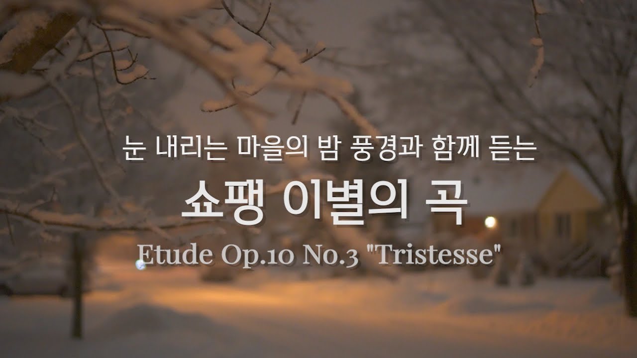 쇼팽 이별의 곡 | 쇼팽이 자신의 곡 중 가장 아름답다고 한 곡 | Chopin Etude Op.10 No.3 