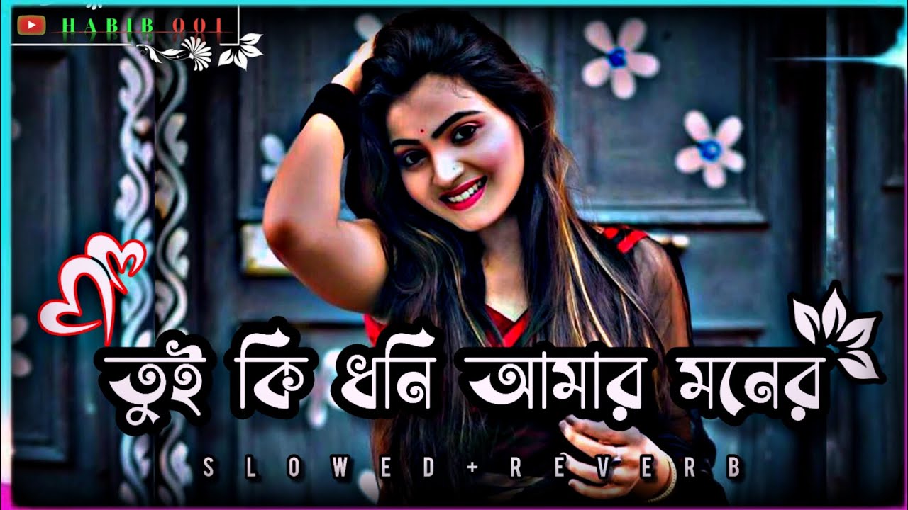 তুই কি ধনি আমার মনের রানি ও গো হবি | (Slowed+Reverb) Bangla Lo-fi Song #_HABIB__001_#banglasong