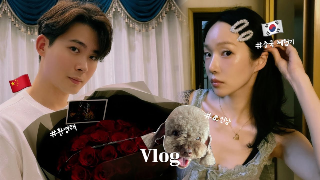 [Korea - China Couple] Korean puppy travels to China🔥 | travel abroad with ur dog is such a gem🐶