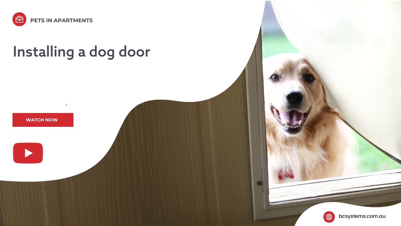 Installing a dog door