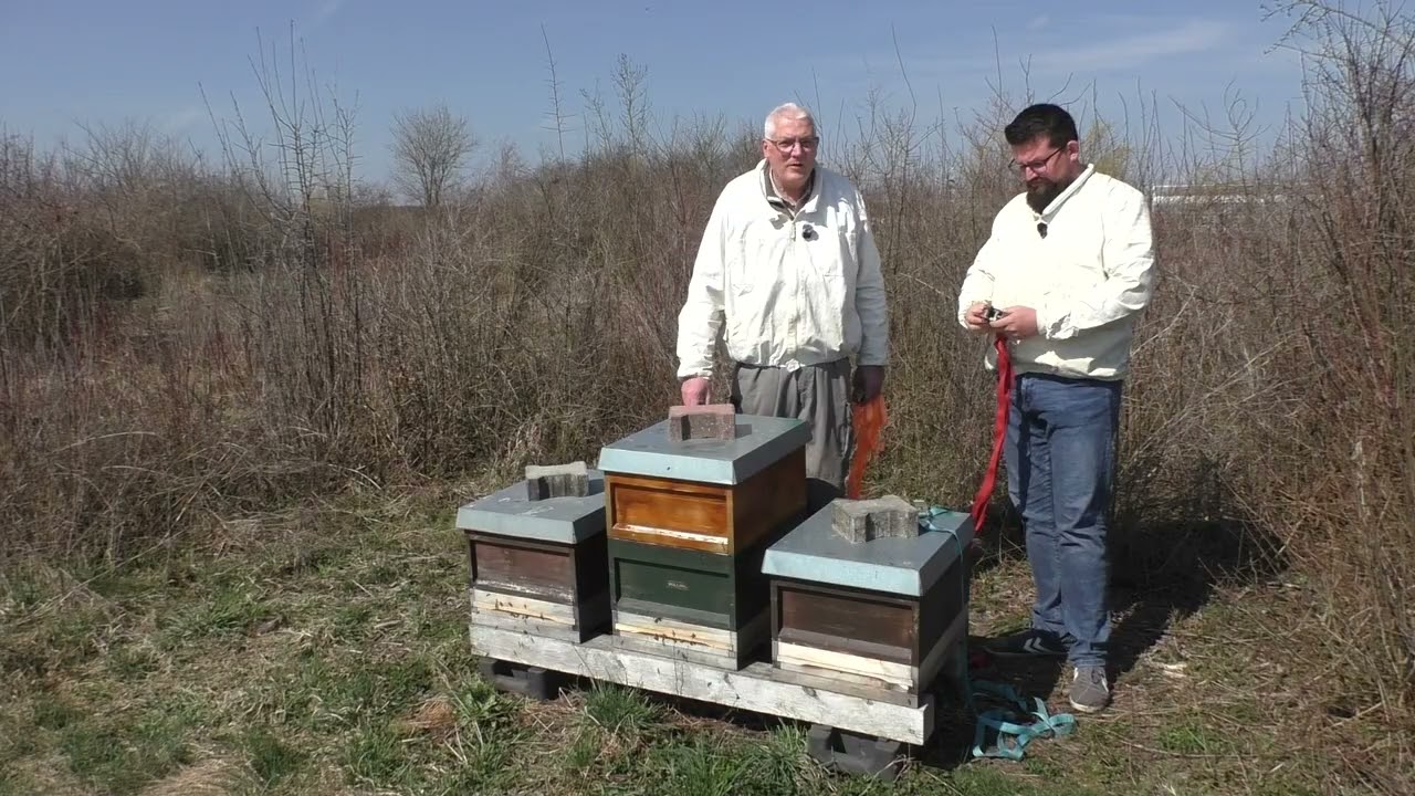 Bienenbeuten erh&ouml;hen