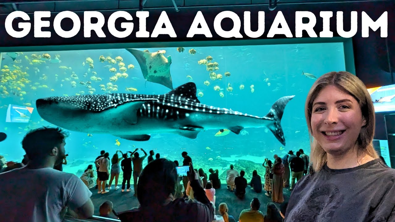 America's LARGEST AQUARIUM! TOUR & Behind the Scenes @Georgia Aquarium