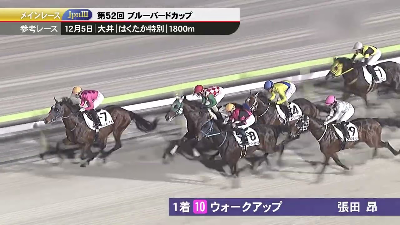2026年ブルーバードカップ参考レース