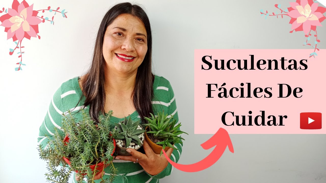 SUCULENTAS PARA PRINCIPIANTES | JARDÍN DE LA CHITA