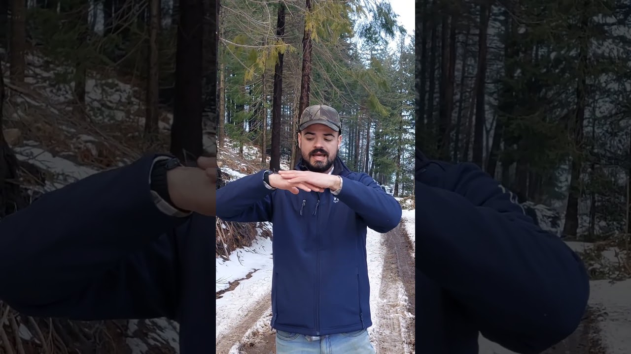 El abeto es muy flexible #abeto #nieve