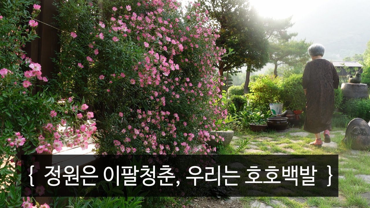 정원은 이팔청춘, 우리는 호호백발｜EP.94