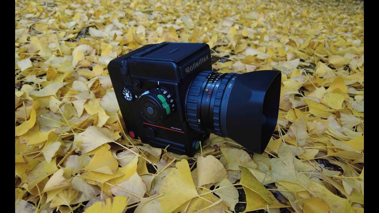 Rolleiflex 6008 Professional