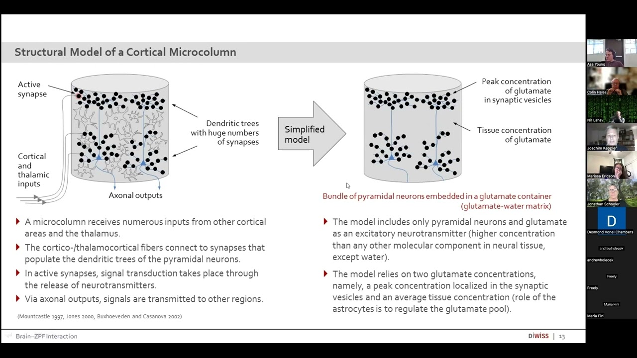 Consciousness Based In The Zero-Point Energy Field -- Joachim Keppler