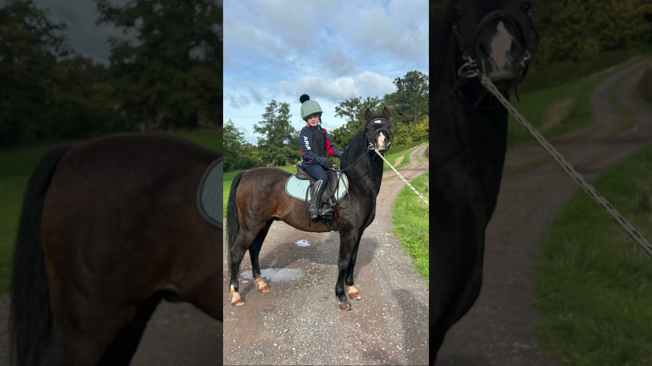Jack and freyas first fun ride #horse #equestrianjourney #pony #funride #ponies #myhorse #horsegirl