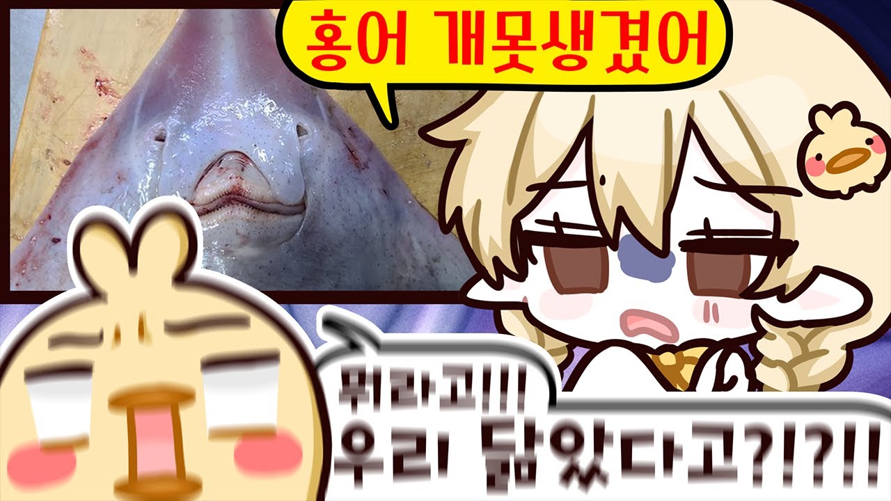 시청자보고 홍어(?)닮았다고한 이 버튜버에게 홍어를 먹여라!!!!!!!!!!!!!!!!!